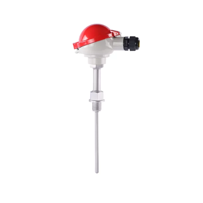 SIN-WZPK RTD Temperature sensors with mineral insulated resistance thermometers