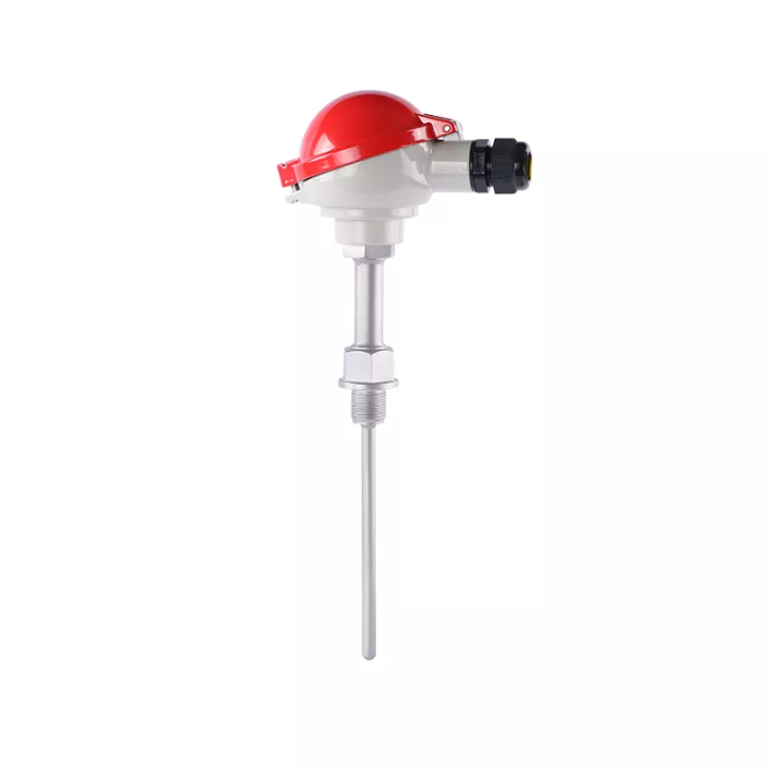 SIN-WZPK RTD Temperature sensors with mineral insulated resistance thermometers