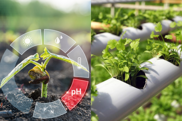 Why pH Levels Matter in Hydroponics