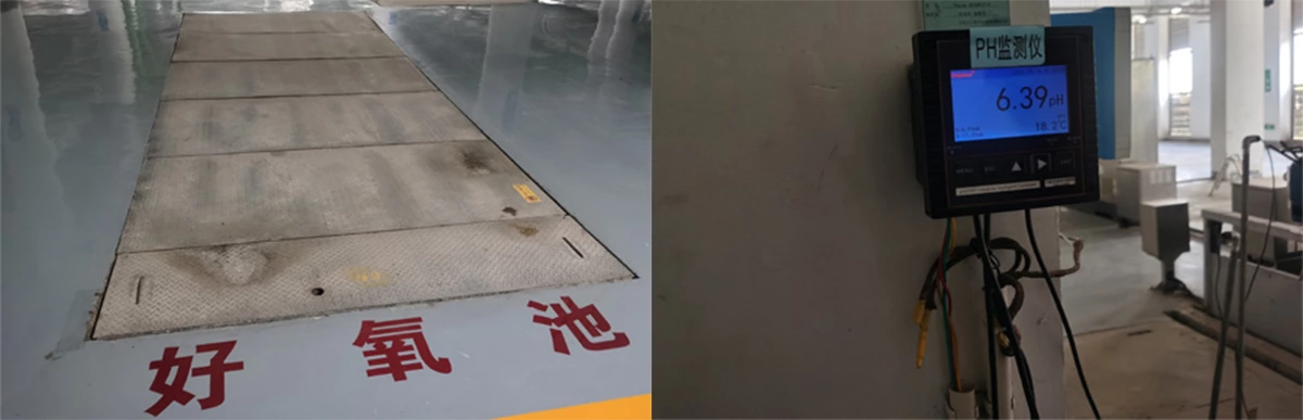 Wastewater Treatment – Oxidation Ditch Application